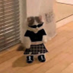 Meet your Posher, Makena